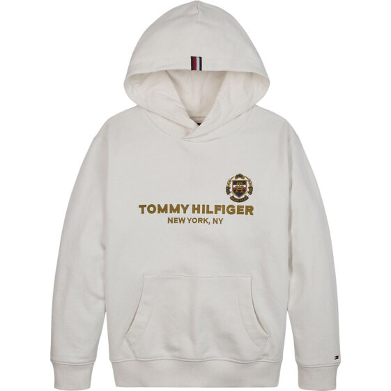 TOMMY HILFIGER Ny Crest hoodie