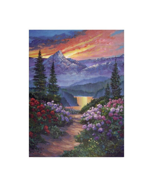 David Lloyd Glover Mountain Garden Path Canvas Art - 20" x 25"