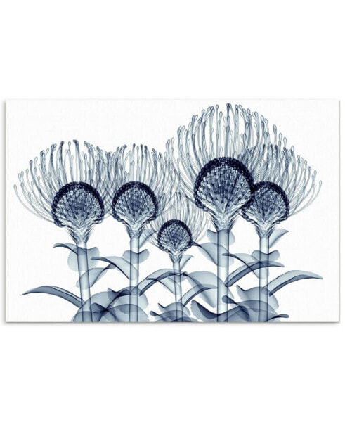 'Nodding Pincushions' Frameless Free Floating Tempered Glass Panel Graphic Wall Art - 32" x 48''