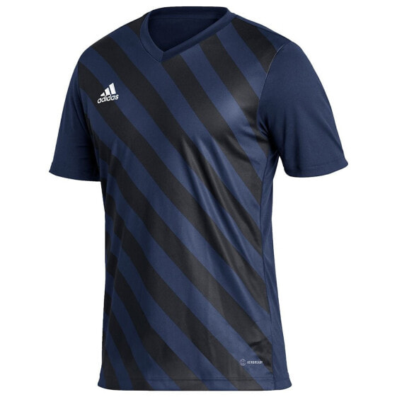 ADIDAS Entrada 22 GFX short sleeve T-shirt