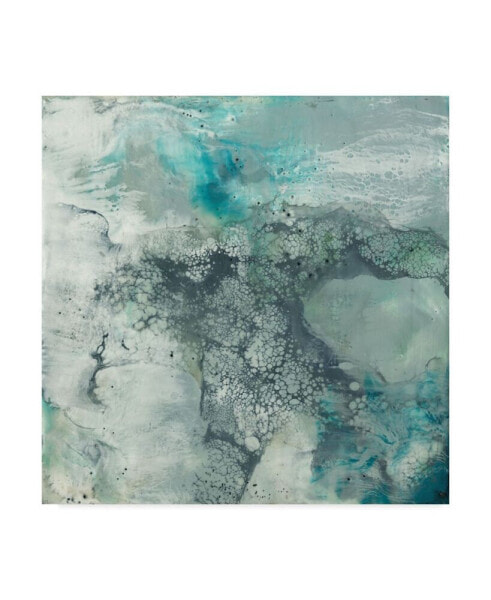 Jennifer Goldberger Sea Lace I Canvas Art - 27" x 33"