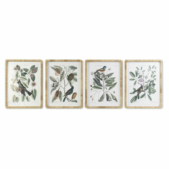 Картина DKD Home Decor 50 x 2,5 x 65 cm Shabby Chic Ботанические растения (4 Предметы)