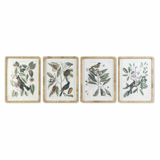 Painting DKD Home Decor 50 x 2,5 x 65 cm Shabby Chic Botanical plants (4 Pieces)