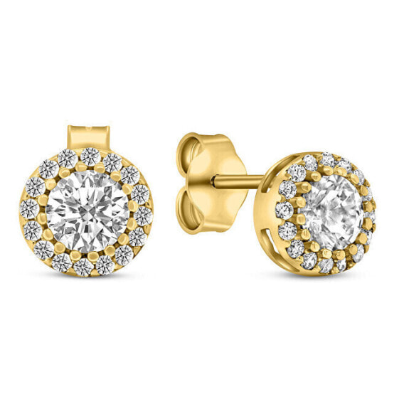 Charming gold earrings with glittering zircons EA523YAU