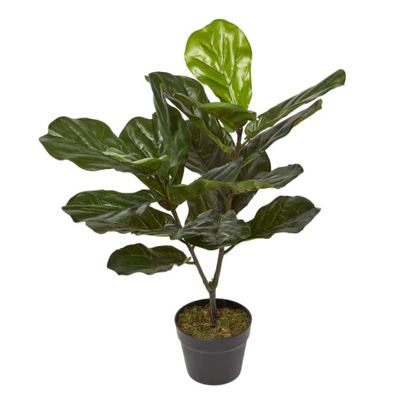 Ficus Lyrata – Geigenfeige künstlich