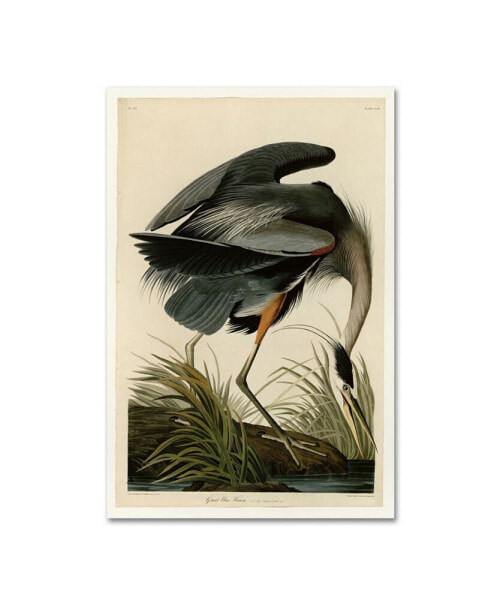 Картина холстная Trademark Global john James Audobon 'Great Blue Heron' - 32" x 22" x 2"