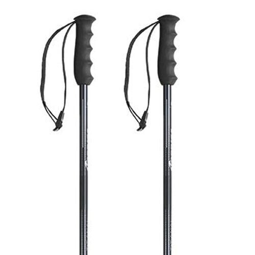 NORDICA Alpine TI Poles