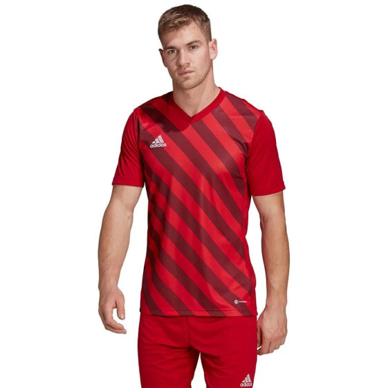 ADIDAS Entrada 22 GFX short sleeve T-shirt