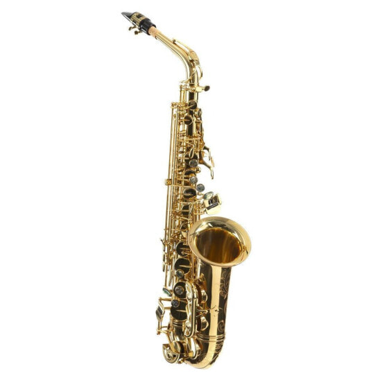 Expression XP-2 Alto Sax lackiert