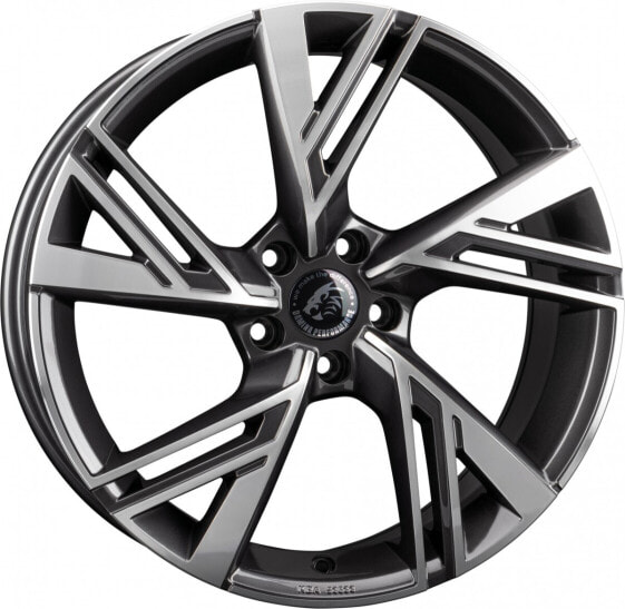 Колесный диск литой Damina Performance DM14 anthrazit polished 8.5x19 ET30 - LK5/112 ML66.6