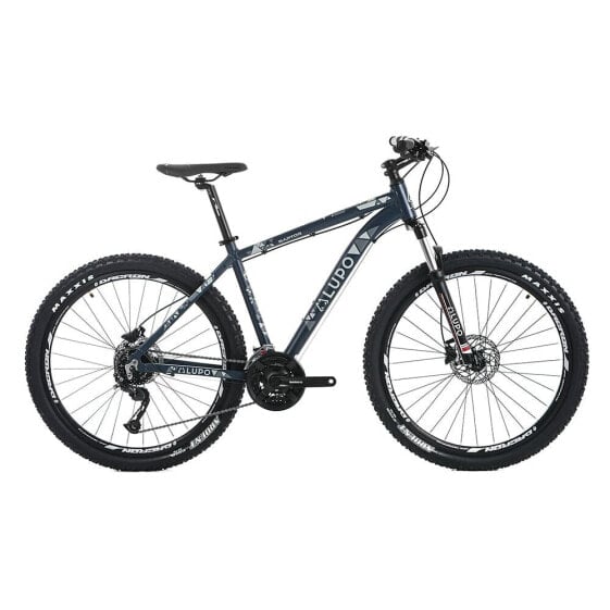 LUPO Raptor 1 29´´ MTB bike