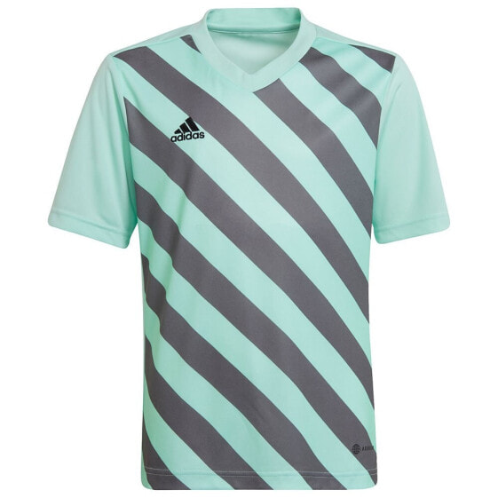 ADIDAS Entrada 22 GFX short sleeve T-shirt