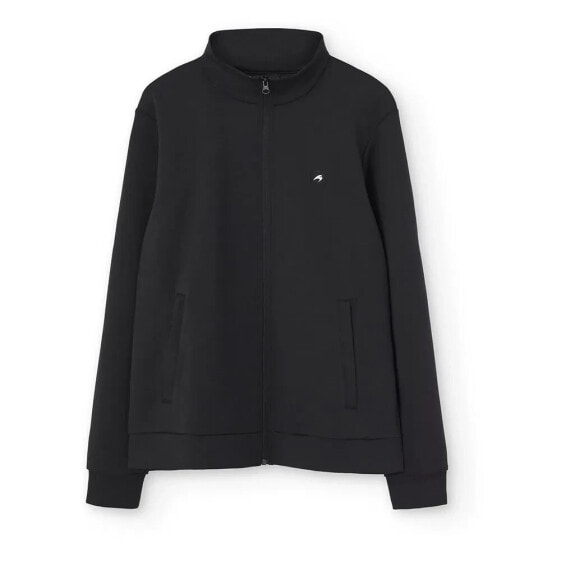 Толстовка ASTORE Alf Full Zip Sweatshirt