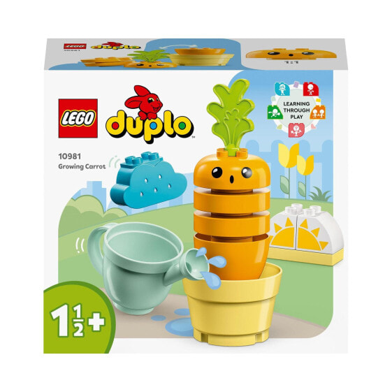 Duplo O'sib borayotgan sabzi