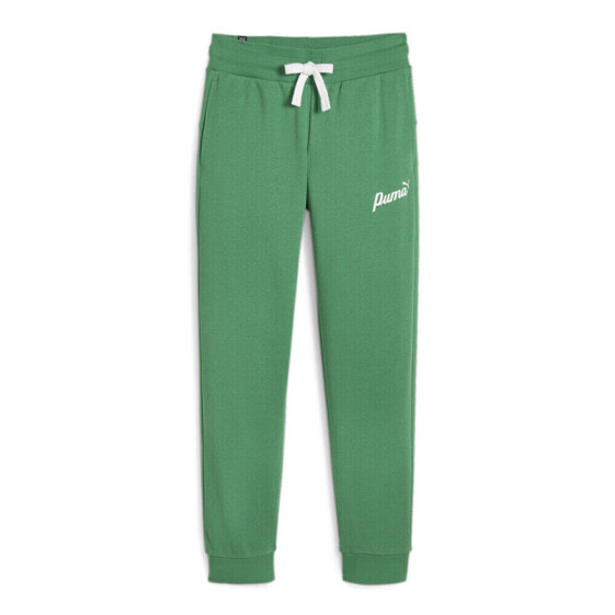 Puma Essential Script Pants Womens Green Casual Athletic Bottoms 67935086