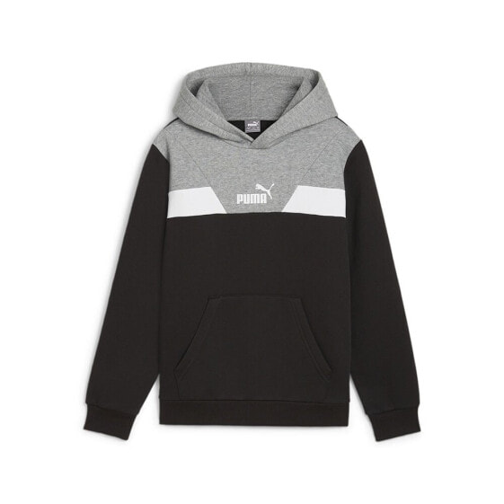 PUMA Power Colorblock hoodie