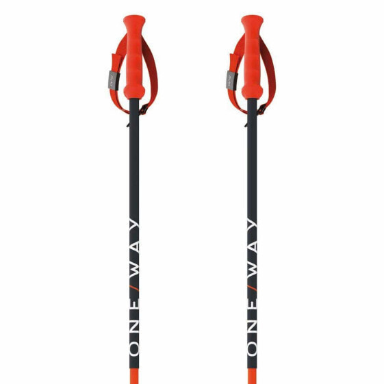 FISCHER RD 16 SL Pro Poles