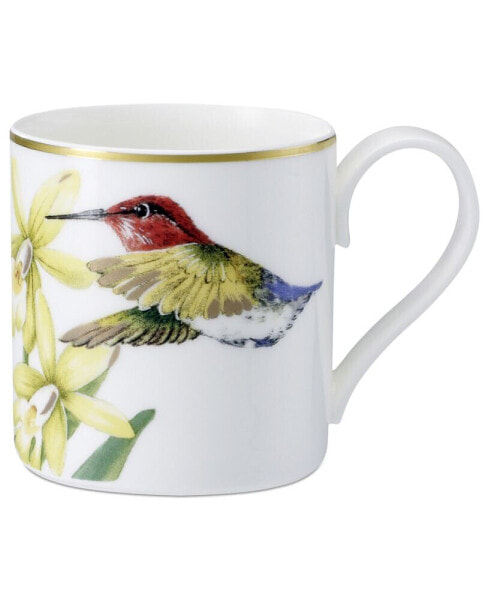 Serveware, Amazonia After Dinner Cup