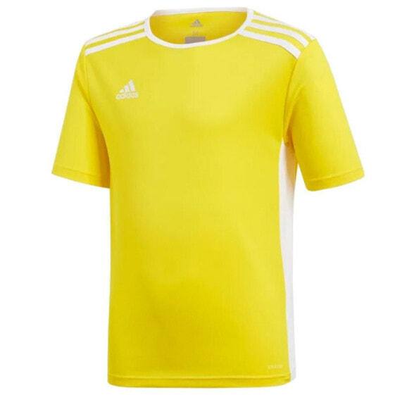 Мужская спортивная футболка желтая с логотипом T-Shirt adidas Entrada 18 Jsyy Jr CF1039