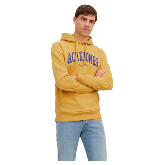 JACK & JONES Josh hoodie