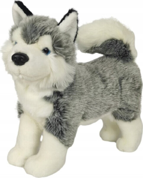 Dubi Husky stojący 32cm