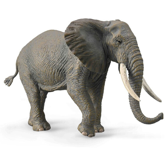 COLLECTA African Elephant Of Bush Xl