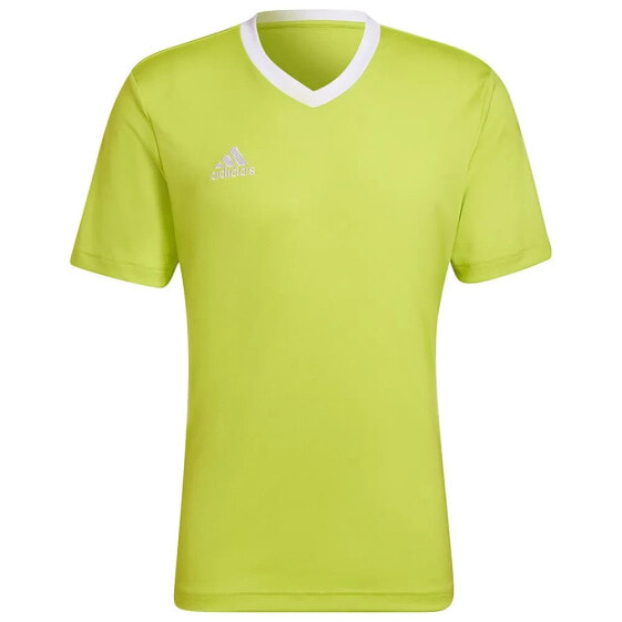 ADIDAS Entrada 22 short sleeve T-shirt