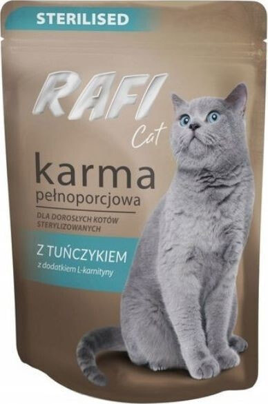 Мокрые корма для кошек RAFI KOT индюшка 100 г