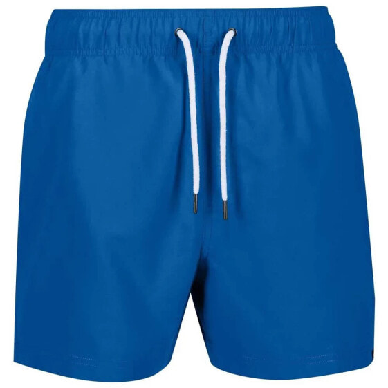 REGATTA Mawson III Swimming Shorts