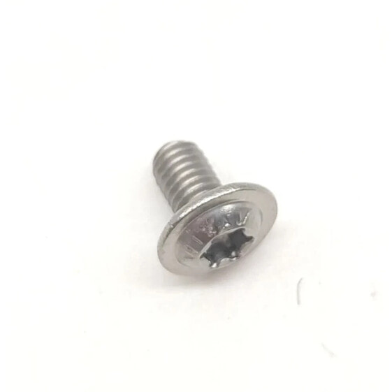 AKRAPOVIC P-FB105 Exhaust Screws