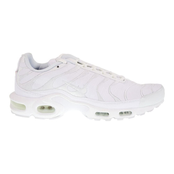 Nike Air Max Plus