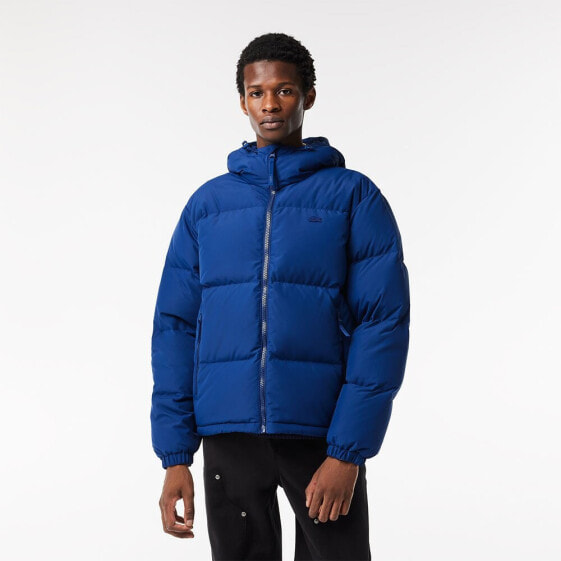 LACOSTE BH3522 padded jacket