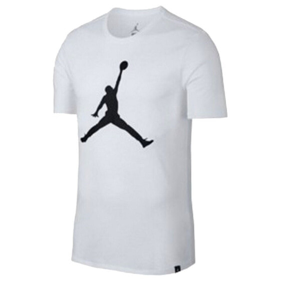 Футболка спортивная Nike Air Jordan Jumpman SS