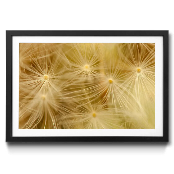 Gerahmtes Bild Dandelion