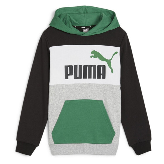 PUMA Ess Block hoodie