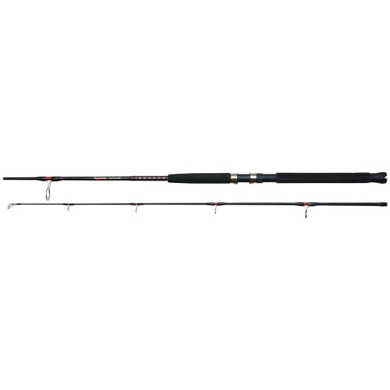 UGLY STIK Bigwater Boat Trolling Rod