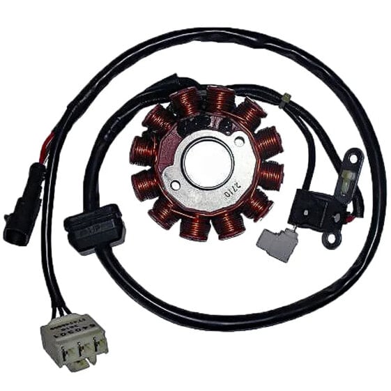 KOKUSAN Trifase 12 Polos 12V 150W Piaggio Leader 125 4T I 2V Stator