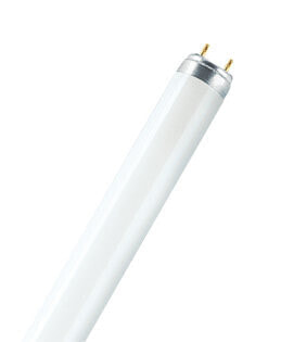 Osram L 15 W/840 люминисцентная лампа G13 Холодный белый B 4050300446004