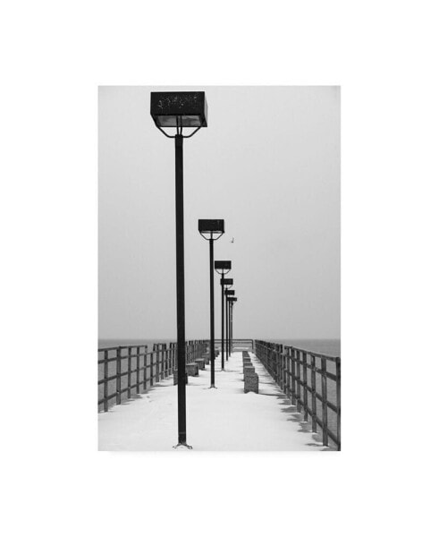 Kurt Shaffer Frozen Pier Canvas Art - 20" x 25"