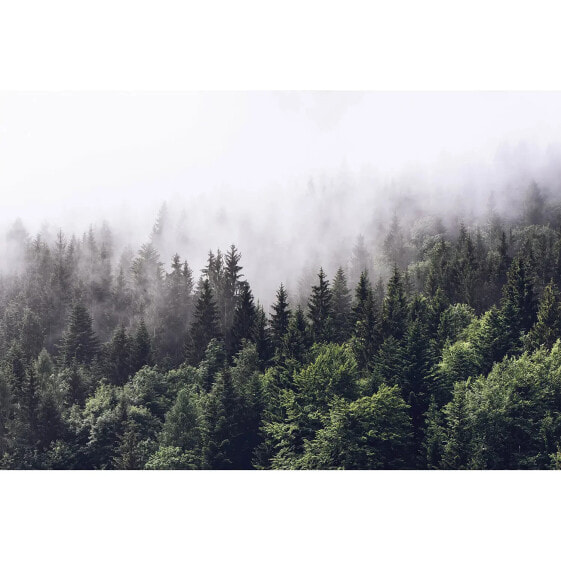 Fototapete Foggy Forest