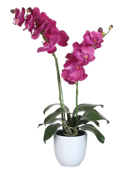 Искусственные цветы MICA Decorations Орхидея Phalaenopsis