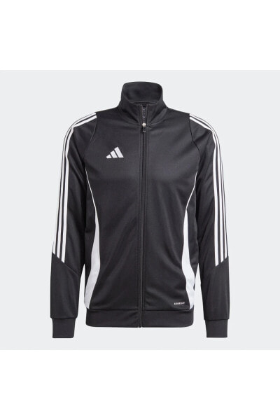 Толстовка Adidas TIRO24 TRJKT