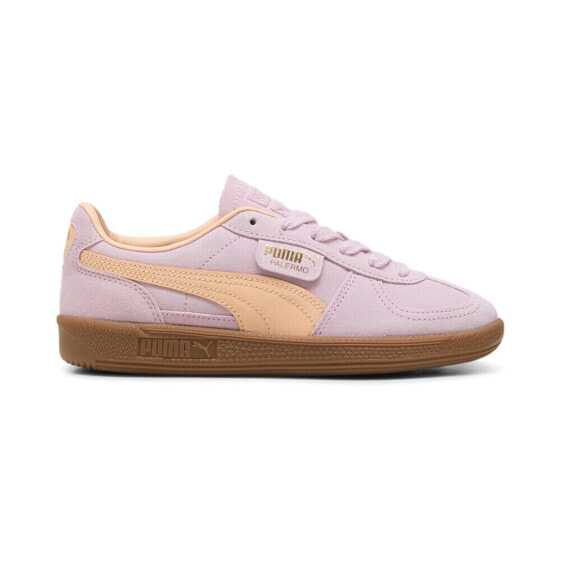 Кроссовки женские кеды PUMA Palermo Lace Up фиолетовые