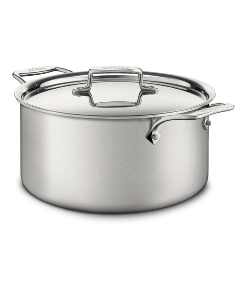 D5 Brushed Stainless Steel 8 Qt. Covered Stockpot