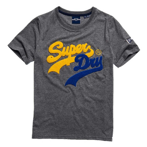 SUPERDRY Vintage Logo Source short sleeve T-shirt