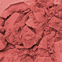 Gesichtsrouge - Lord & Berry Powder Blush 8213 - Camelia