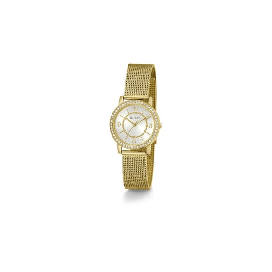 Мужские часы Guess GW0534L2