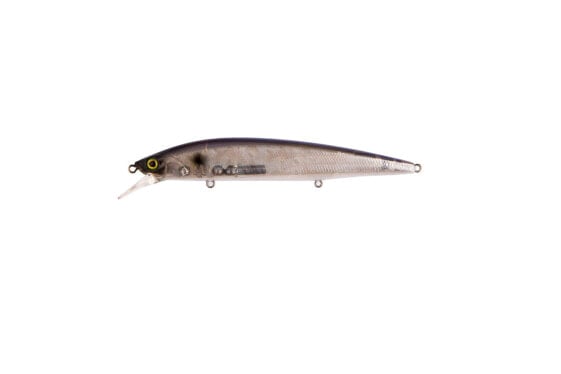 Jackall RERANGE Jerk Baits (JRERA130-BPS) Fishing