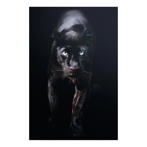 Картина Reinders Черный пантера Bild