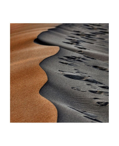 Arash Karimi Abstract Sand Dunes Canvas Art - 15" x 20"